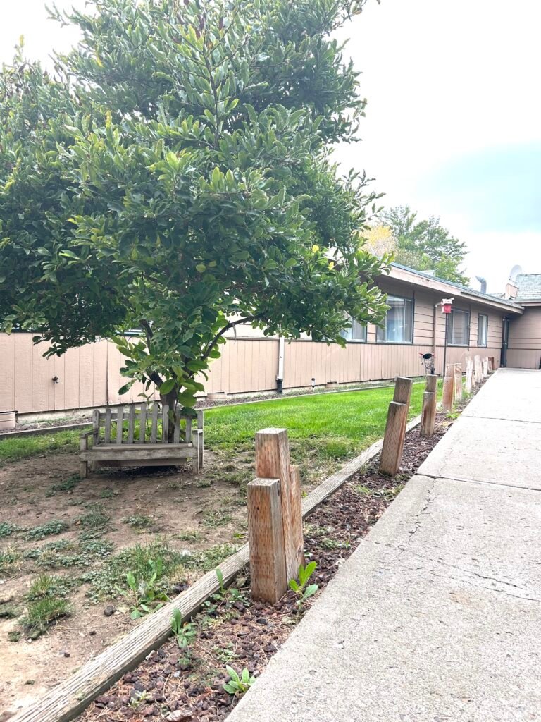 outside hall with a tree