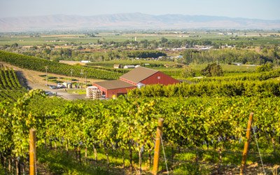 wineries in yakima