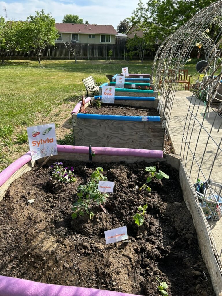 senior friendly bed gardens